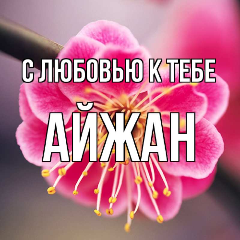 Картинка С любовью к тебе, Айжан