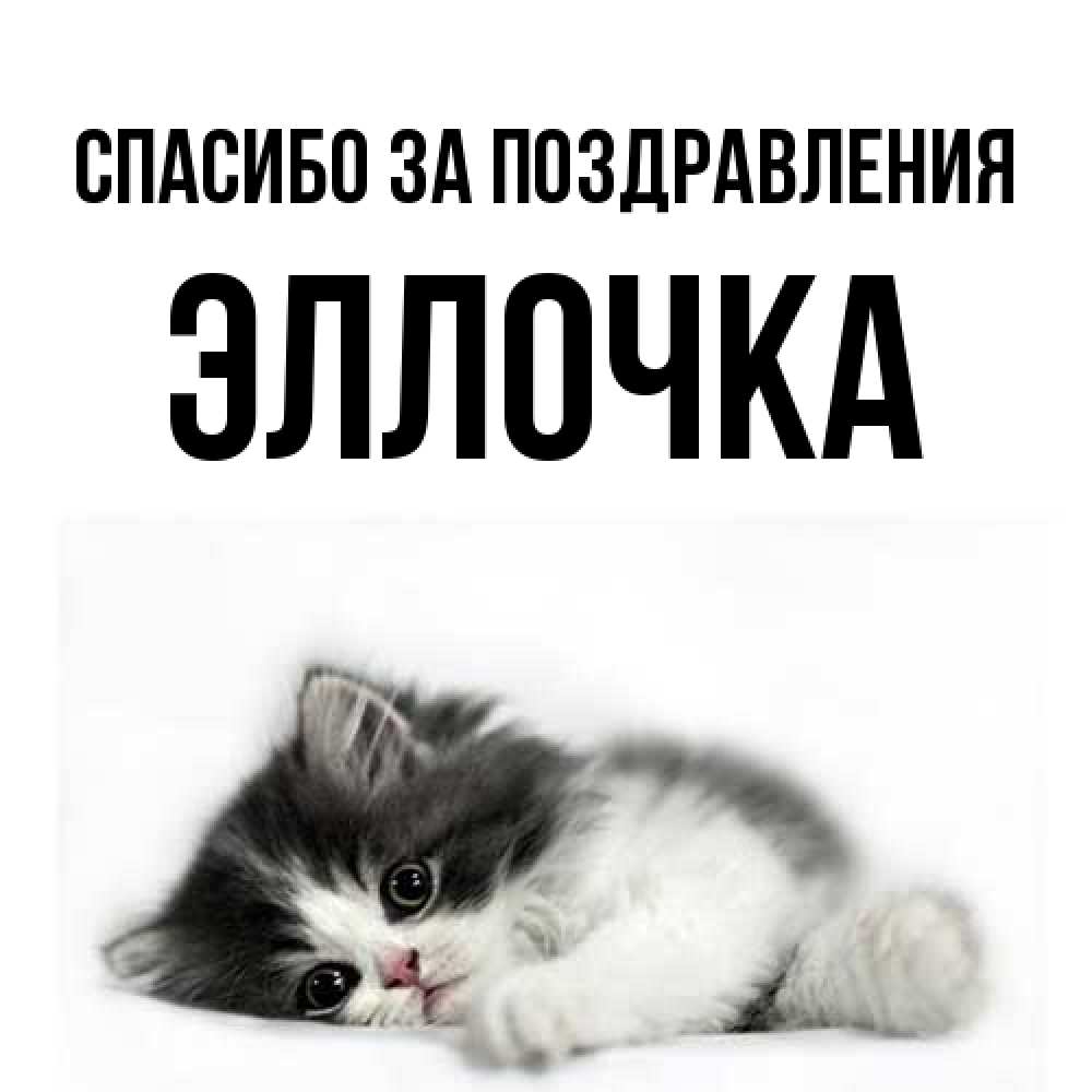 Открытка  с именем. Эллочка, Спасибо за поздравления  