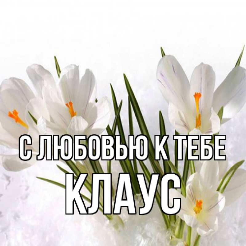 Картинка С любовью к тебе, Клаус