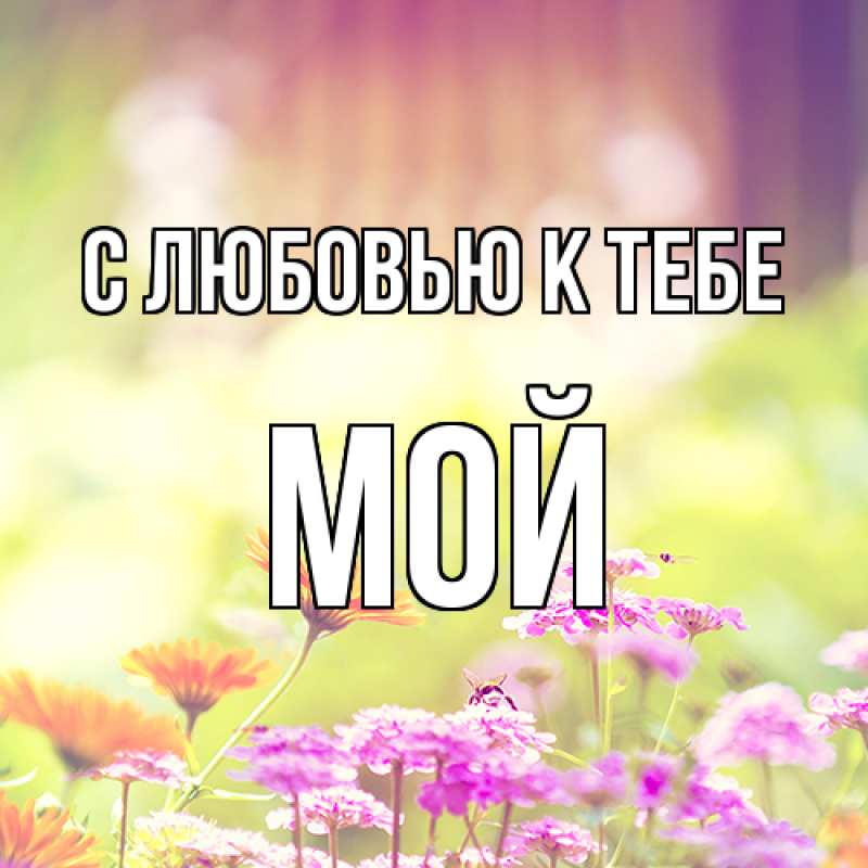 Картинка С любовью к тебе, Мой