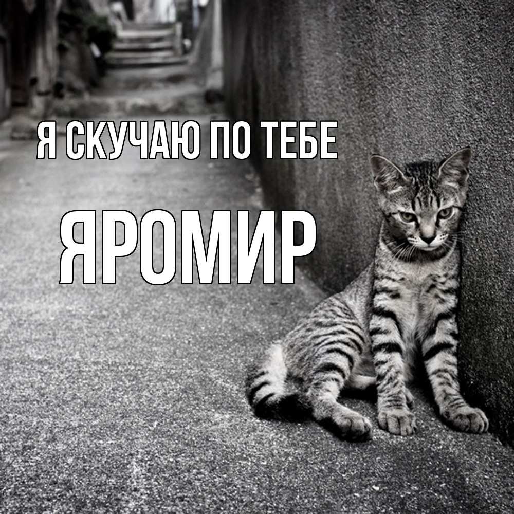 Открытка  с именем. Яромир, Я скучаю по тебе  