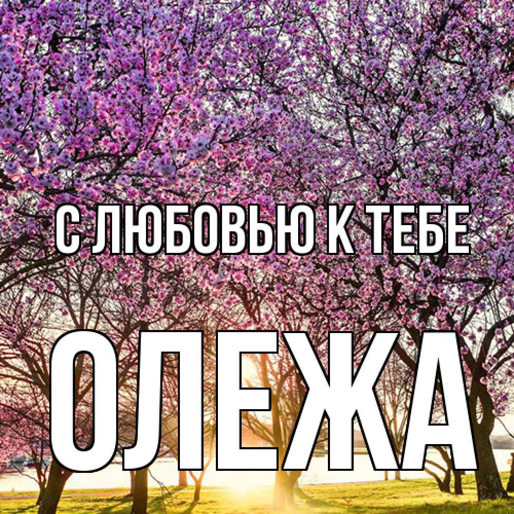 Открытка  с именем. Олежа, С любовью к тебе  