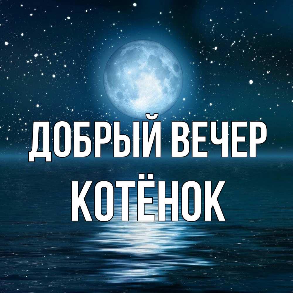 Открытка  с именем. Котёнок, Добрый вечер  