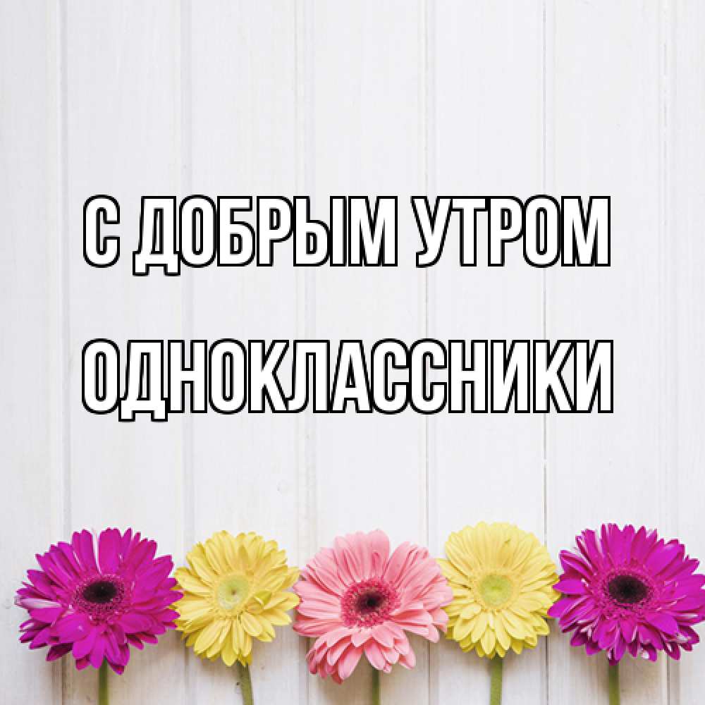 Открытка  с именем. Одноклассники, С добрым утром  