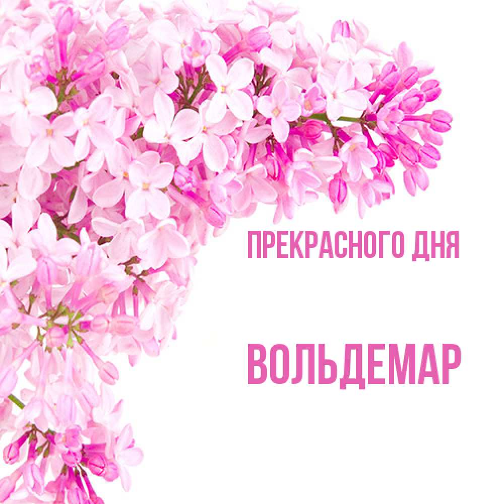 Открытка  с именем. Вольдемар, Прекрасного дня  