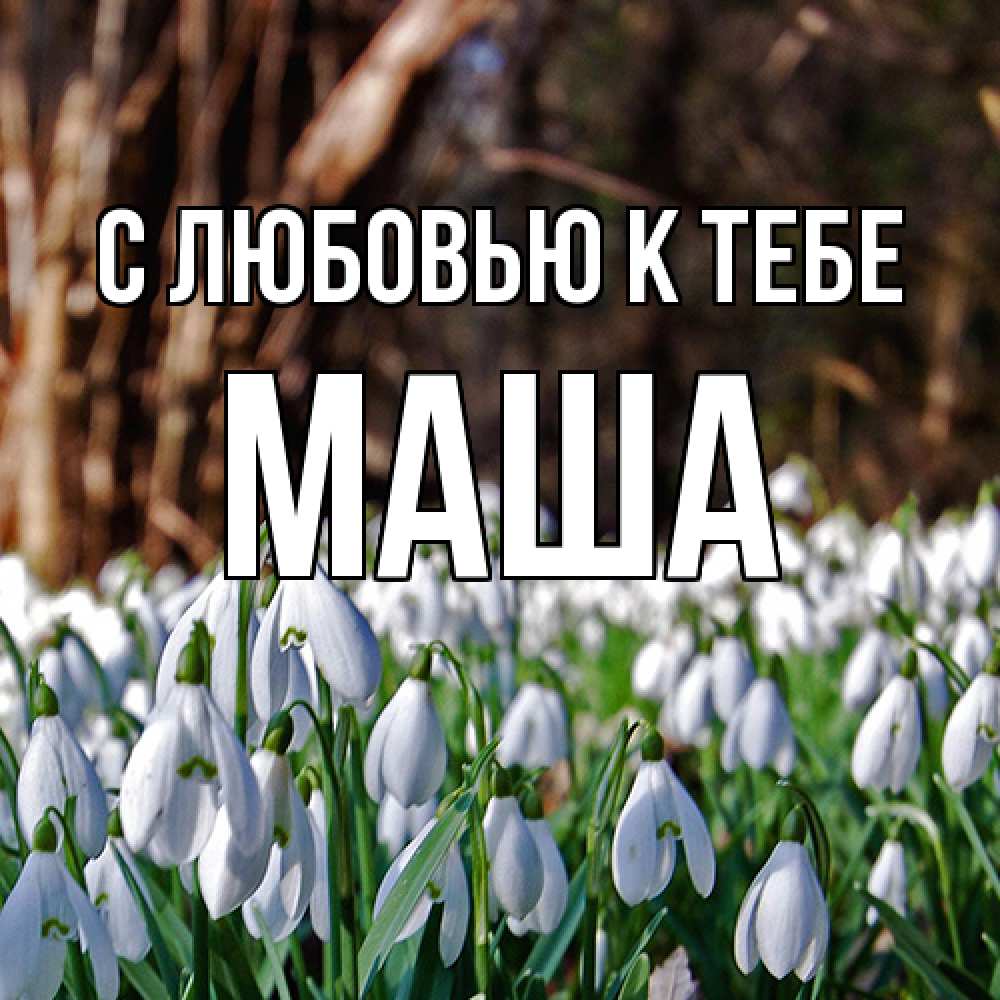 Открытка  с именем. маша, С любовью к тебе  