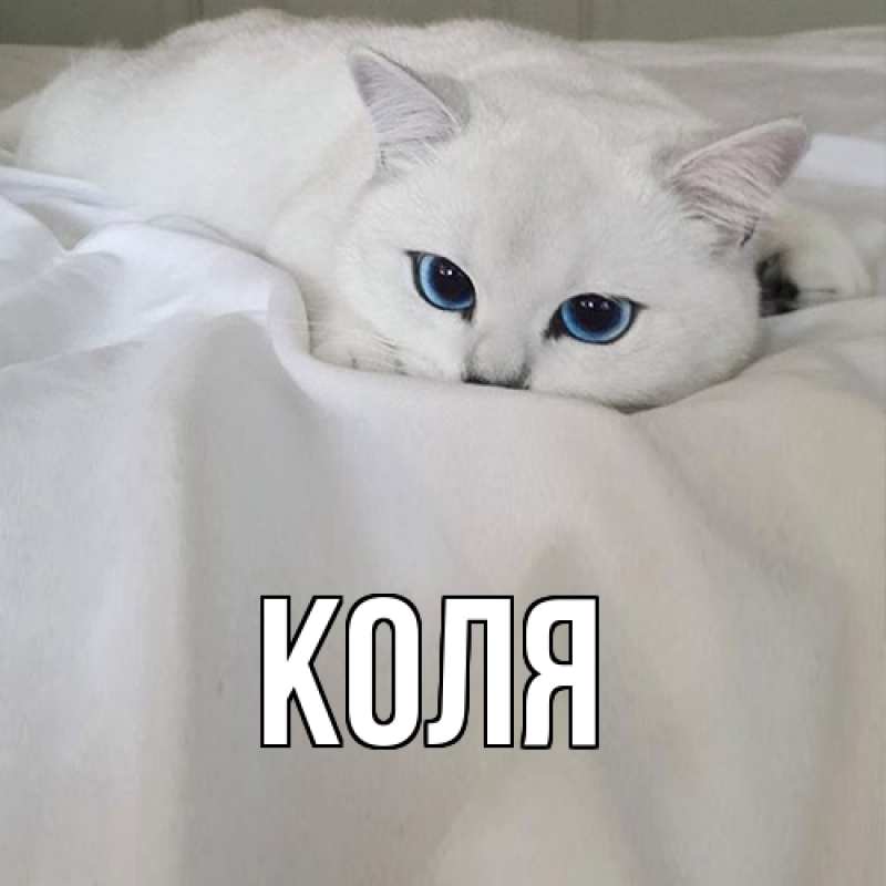 Картинка  с именем , коля