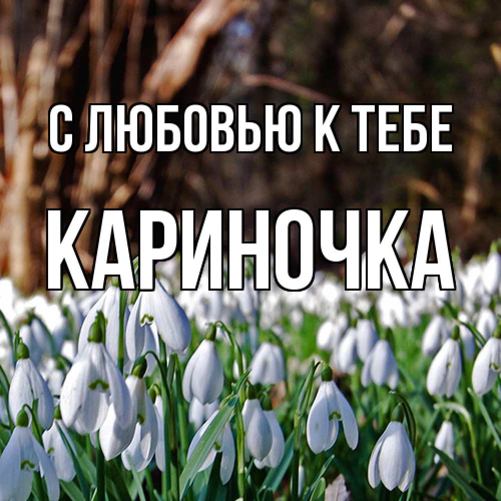 Открытка  с именем. Кариночка, С любовью к тебе  