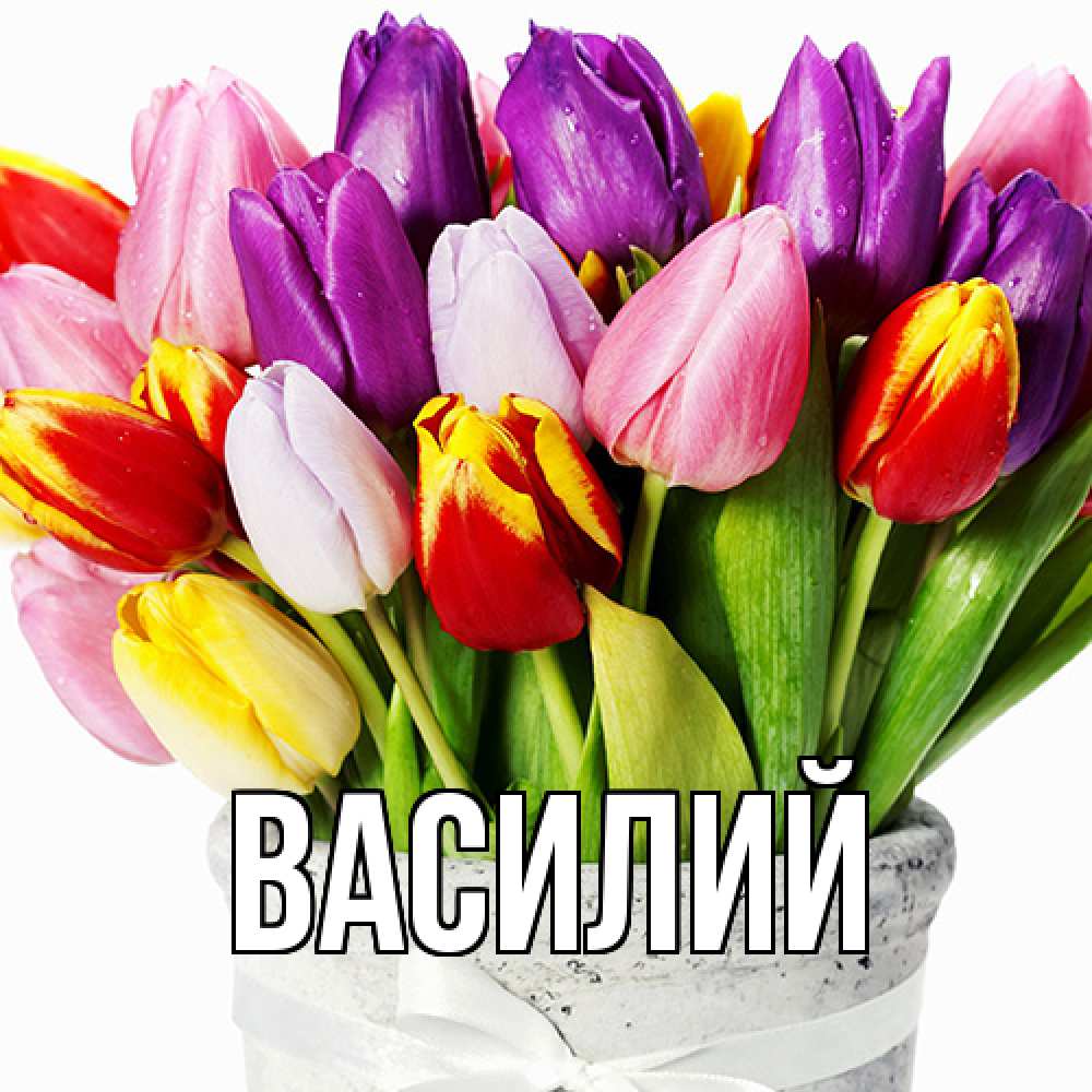 Открытка  с именем. Василий, Главная  