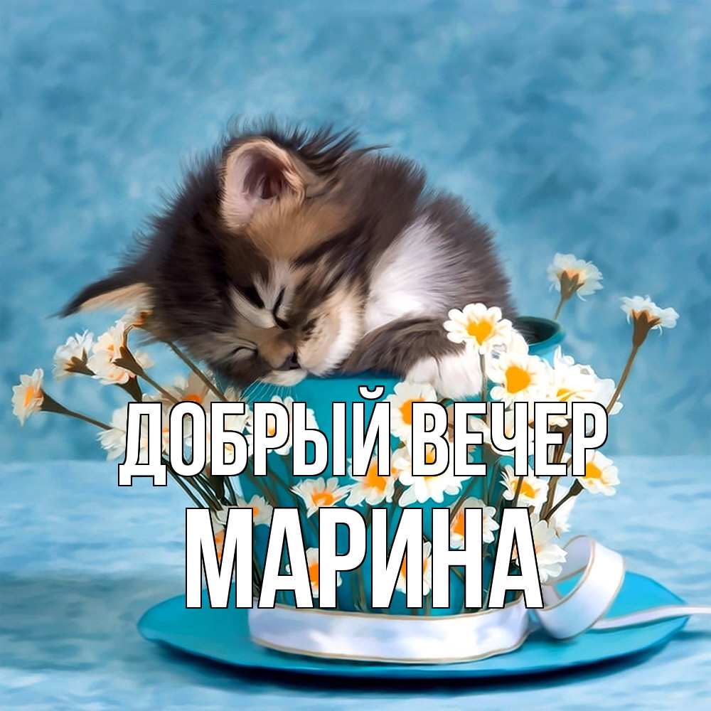 Открытка  с именем. Марина, Добрый вечер  