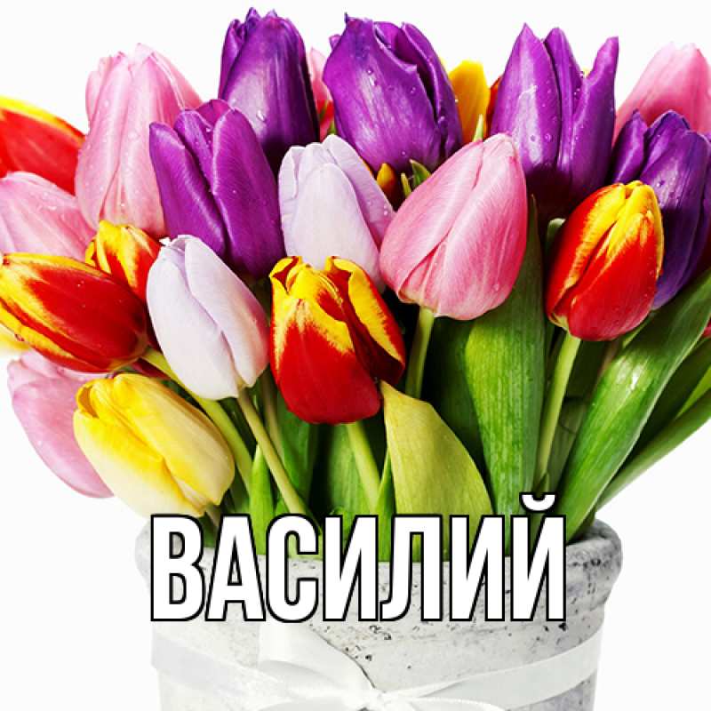Картинка  с именем , Василий
