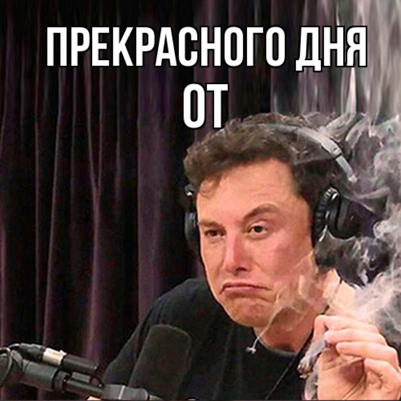 Картинка Прекрасного дня, От