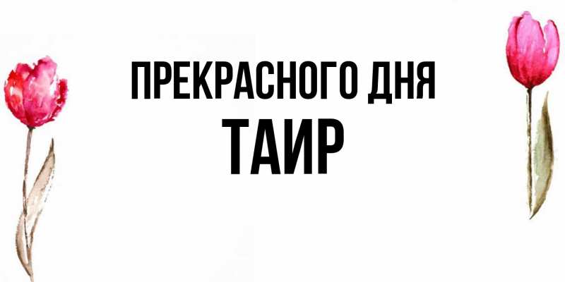 Картинка Прекрасного дня, Таир