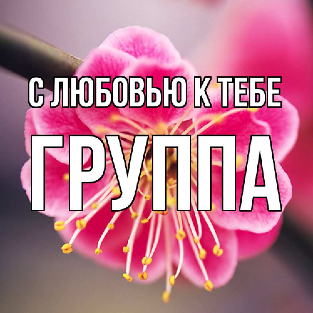 Открытка  с именем. Группа, С любовью к тебе  