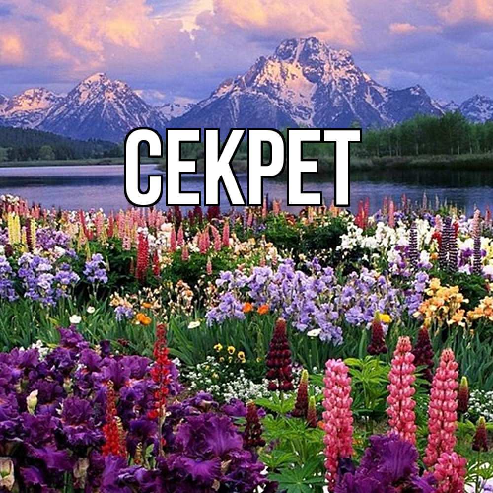 Открытка  с именем. Секрет, Главная  