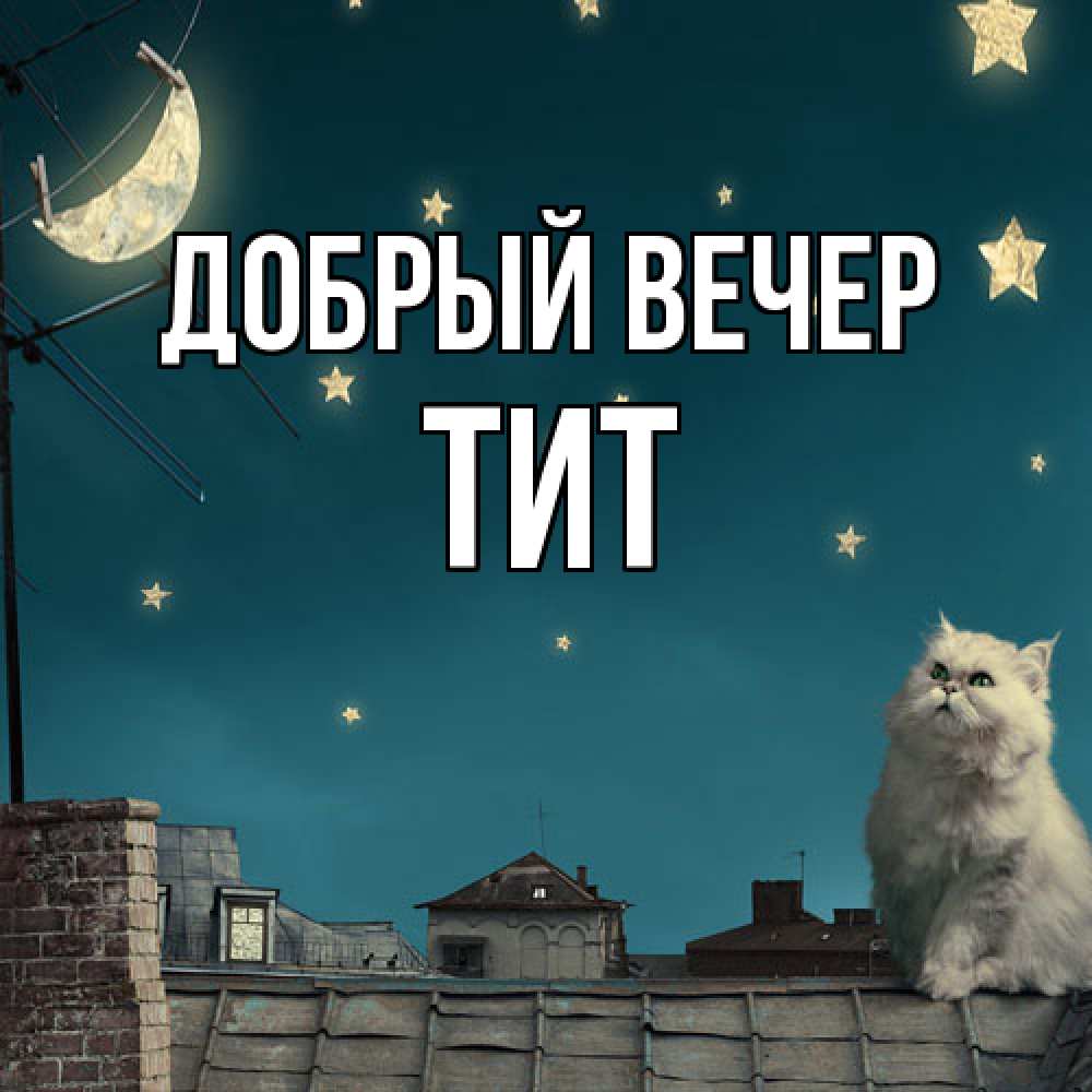Открытка  с именем. Тит, Добрый вечер  