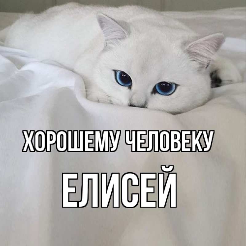 Картинка Хорошему человеку, Елисей