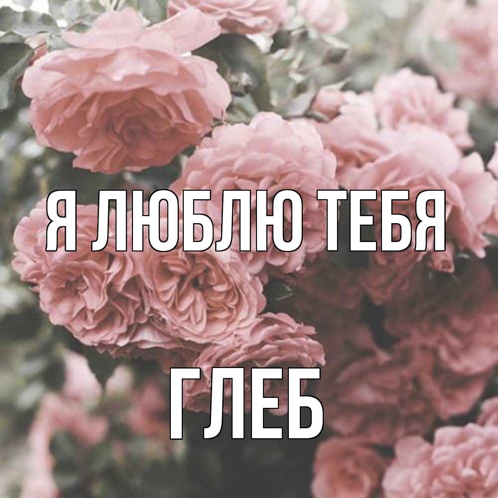 Открытка  с именем. Глеб, Я люблю тебя  