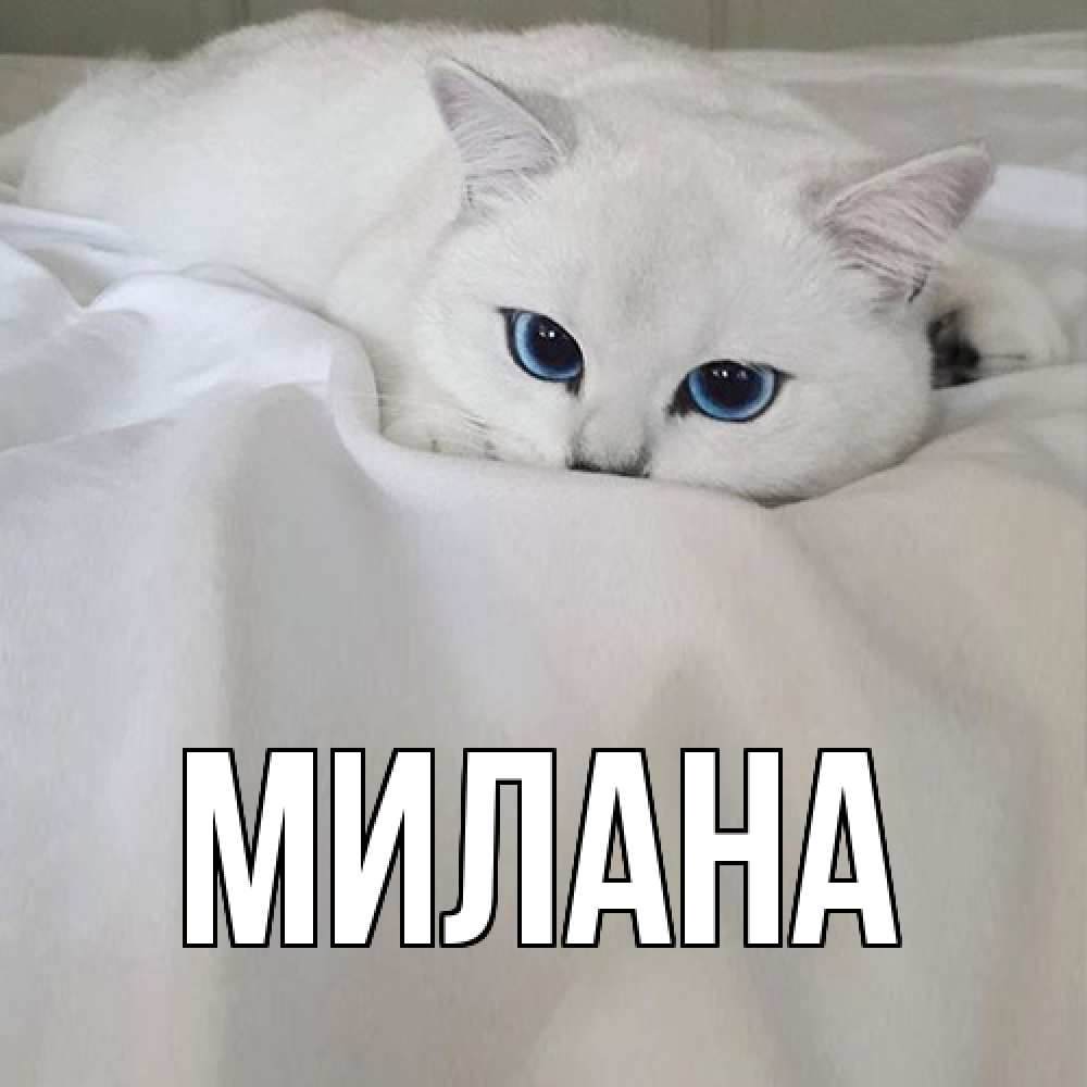 Открытка  с именем. Милана, Главная  