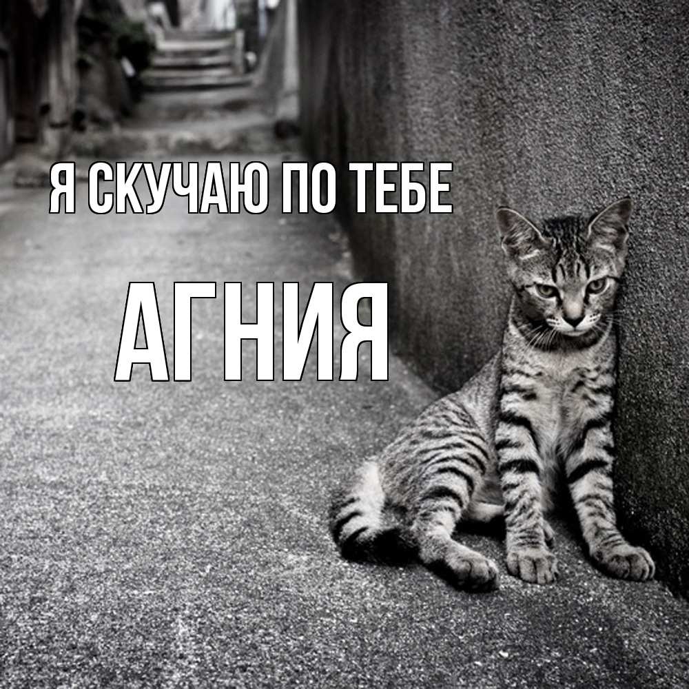 Открытка  с именем. Агния, Я скучаю по тебе  