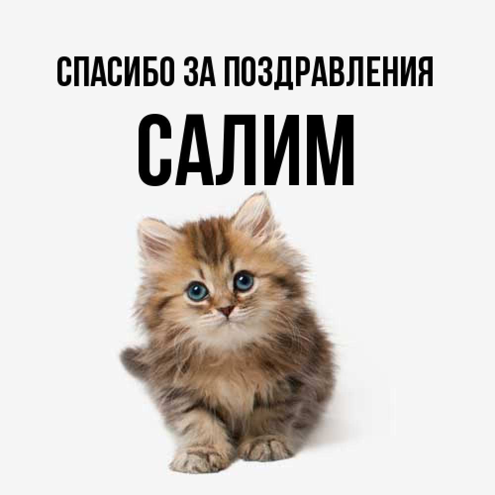Открытка  с именем. Салим, Спасибо за поздравления  