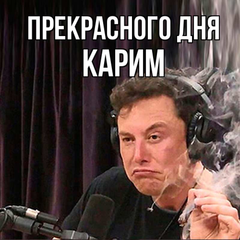 Картинка Прекрасного дня, Карим