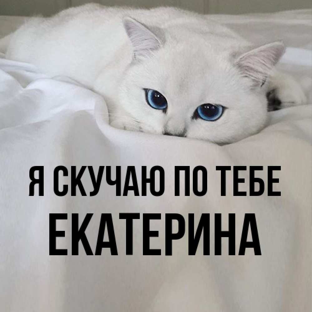 Открытка  с именем. Екатерина, Я скучаю по тебе  