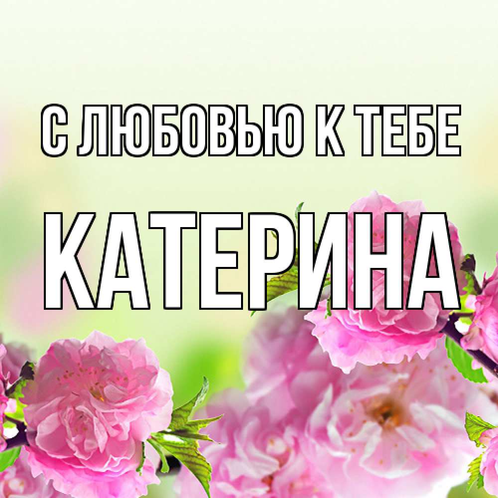 Открытка  с именем. Катерина, С любовью к тебе  