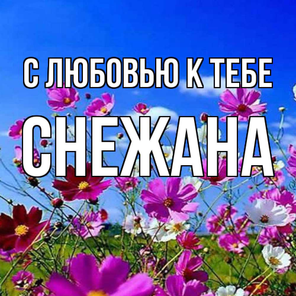 Открытка  с именем. Снежана, С любовью к тебе  