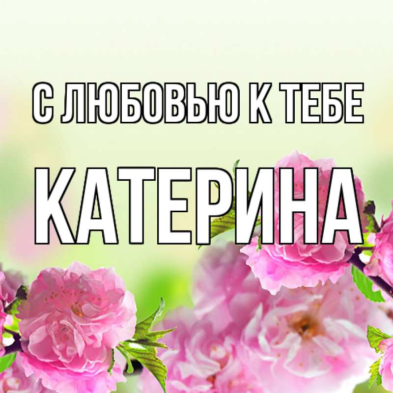 Картинка С любовью к тебе, Катерина
