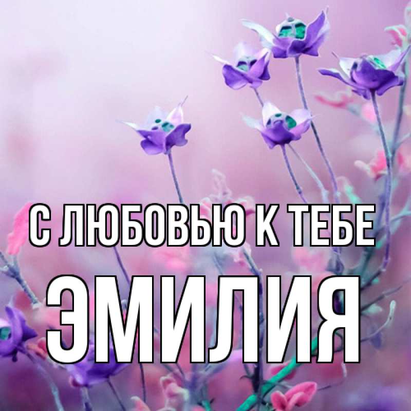 Картинка С любовью к тебе, Эмилия
