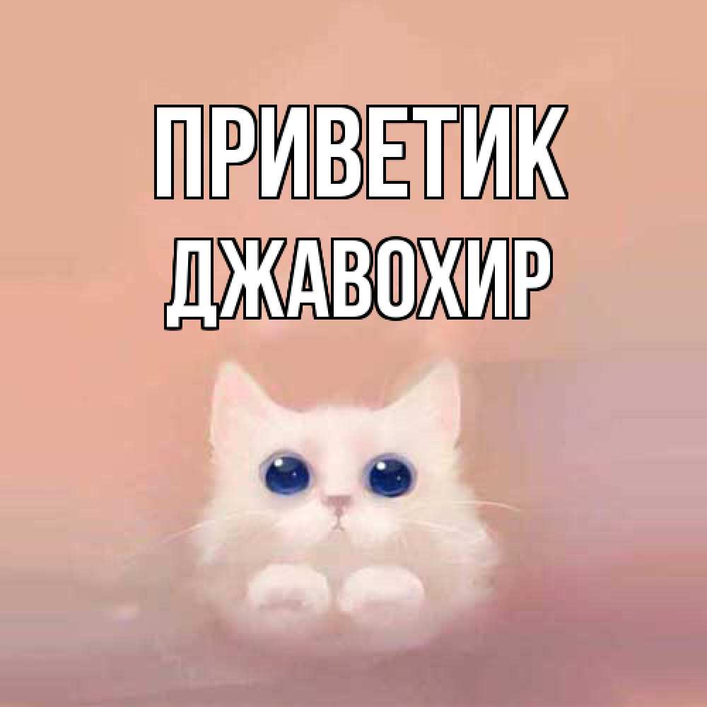 Открытка  с именем. Джавохир, приветик  