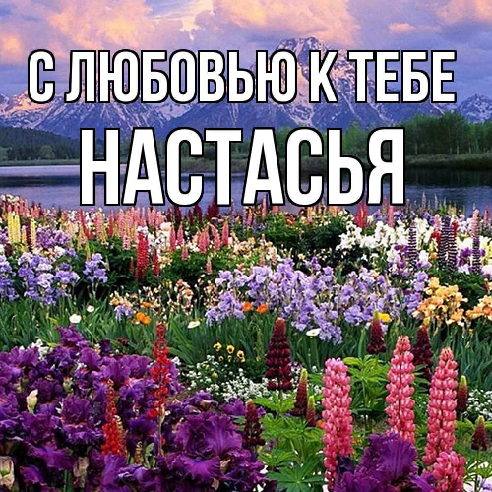 Открытка  с именем. Настасья, С любовью к тебе  