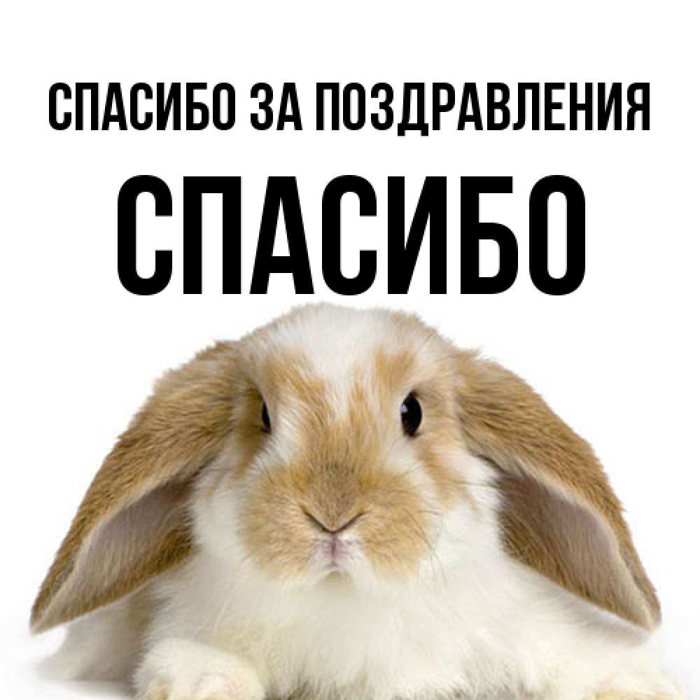 Открытка  с именем. СПАСИБО, Спасибо за поздравления  
