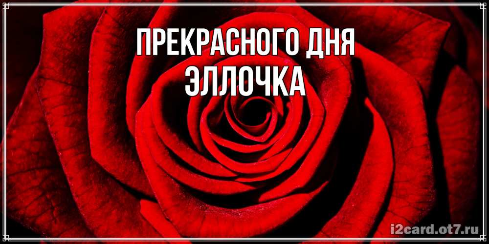 Открытка  с именем. Эллочка, Прекрасного дня  
