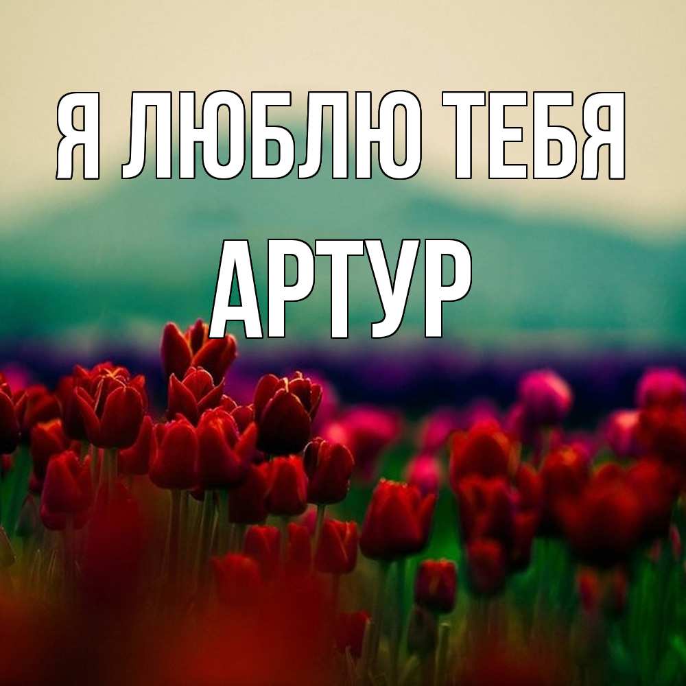 Открытка  с именем. Артур, Я люблю тебя  