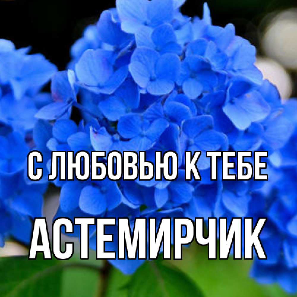 Открытка  с именем. Астемирчик, С любовью к тебе  
