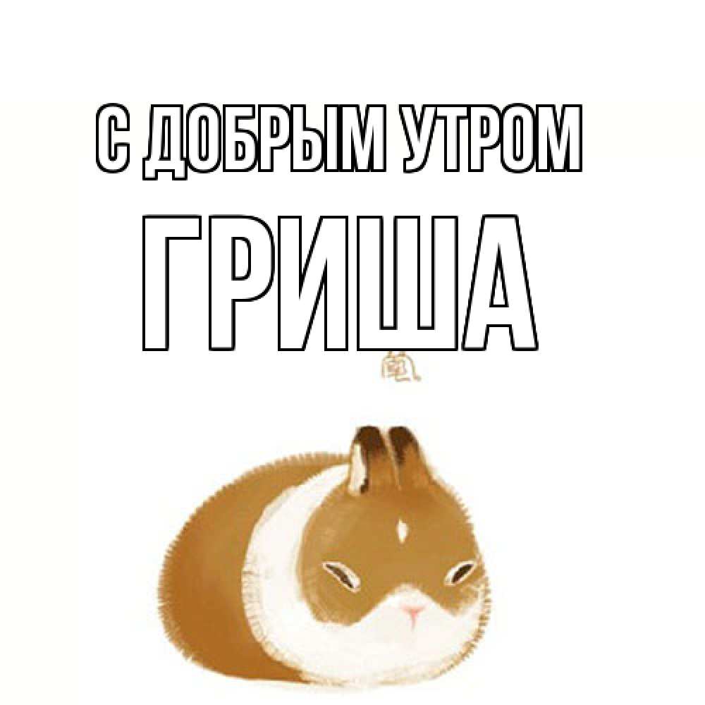 Открытка  с именем. Гриша, С добрым утром  