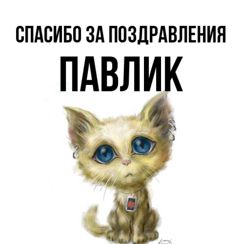 Картинка Спасибо за поздравления, Павлик