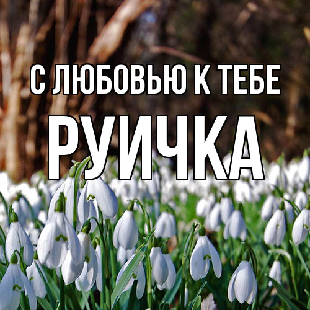 Открытка  с именем. Руичка, С любовью к тебе  