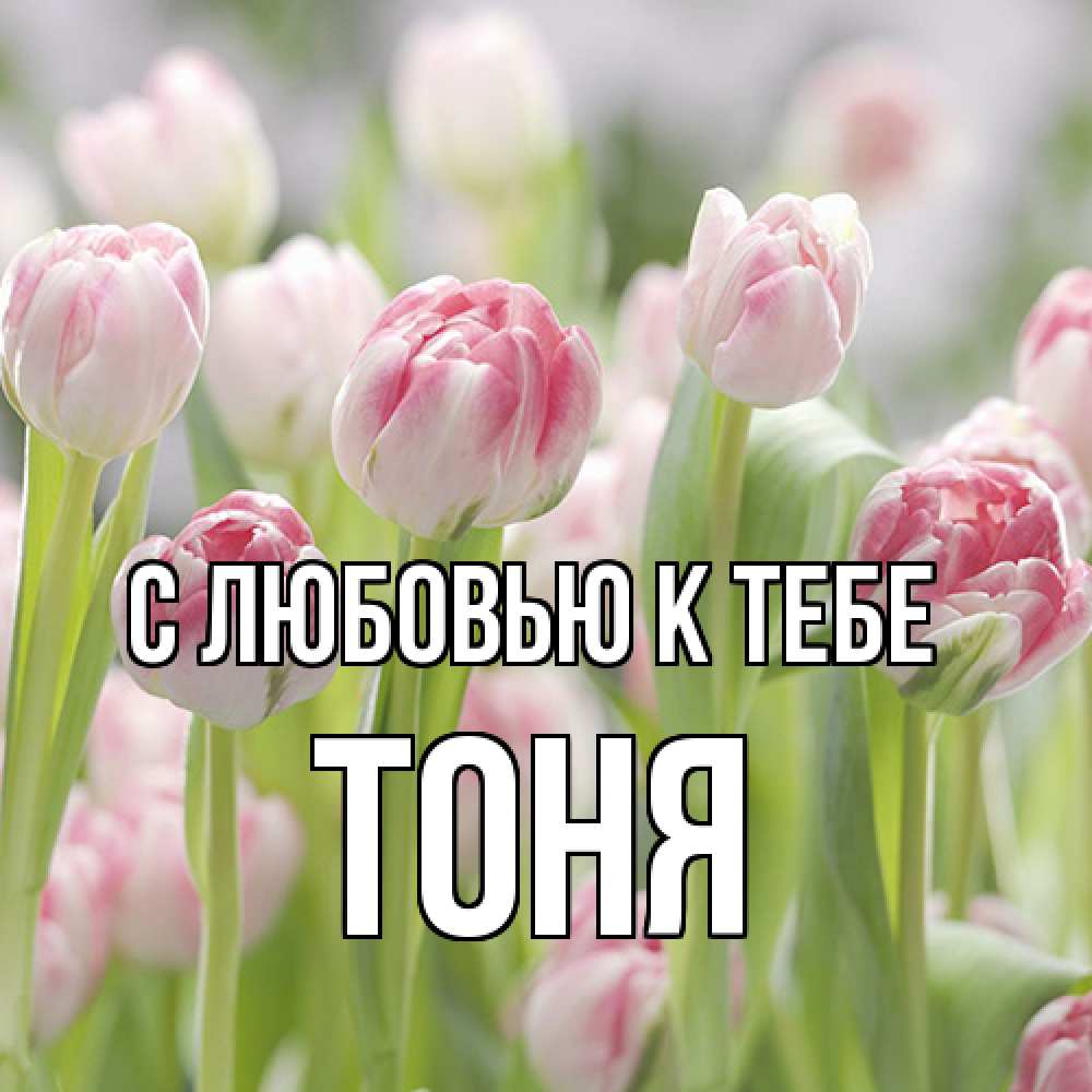 Открытка  с именем. Тоня, С любовью к тебе  