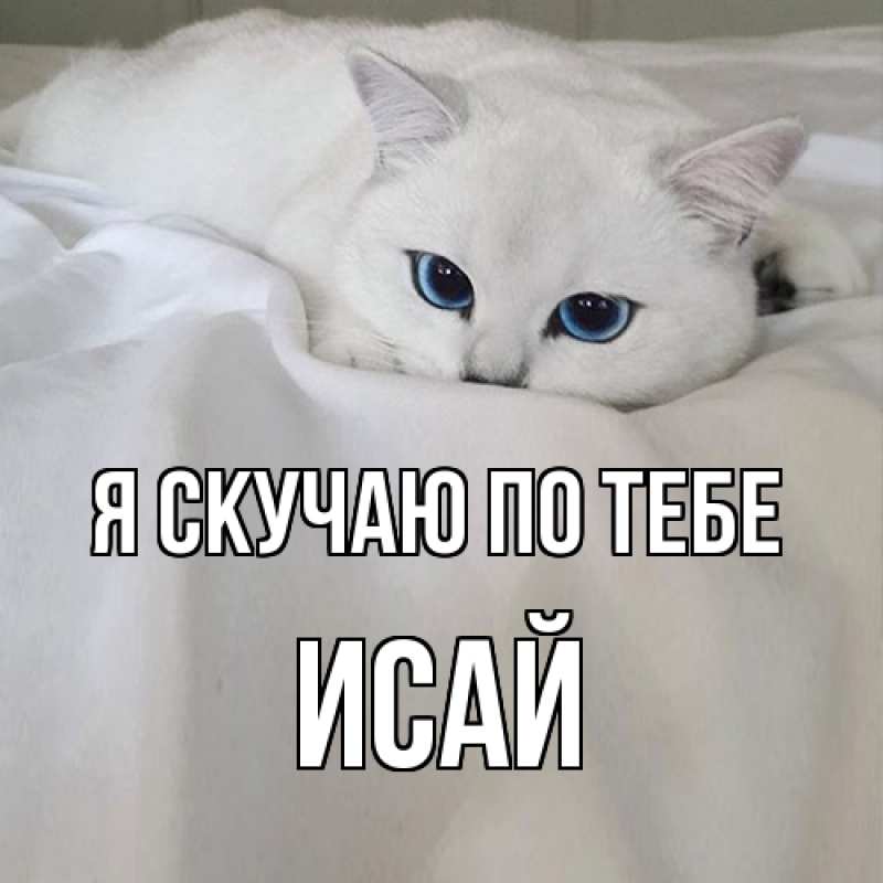 Картинка Я скучаю по тебе, Исай