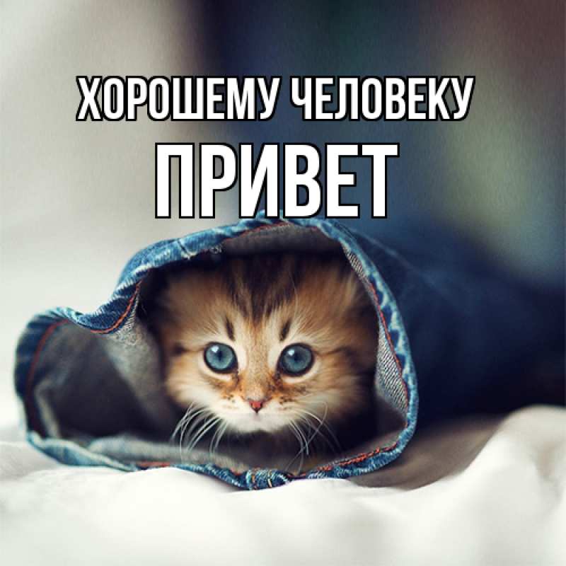 Картинка Хорошему человеку, Привет