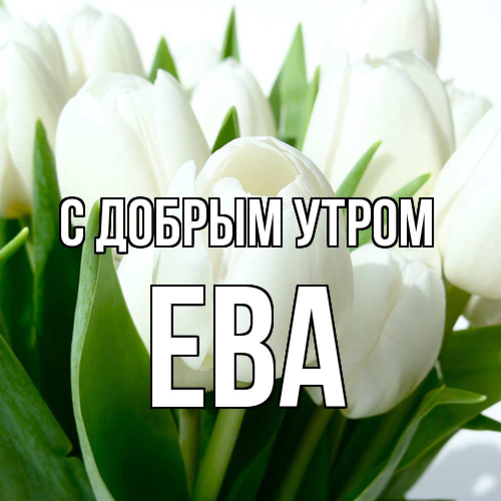 Открытка  с именем. Ева, С добрым утром  