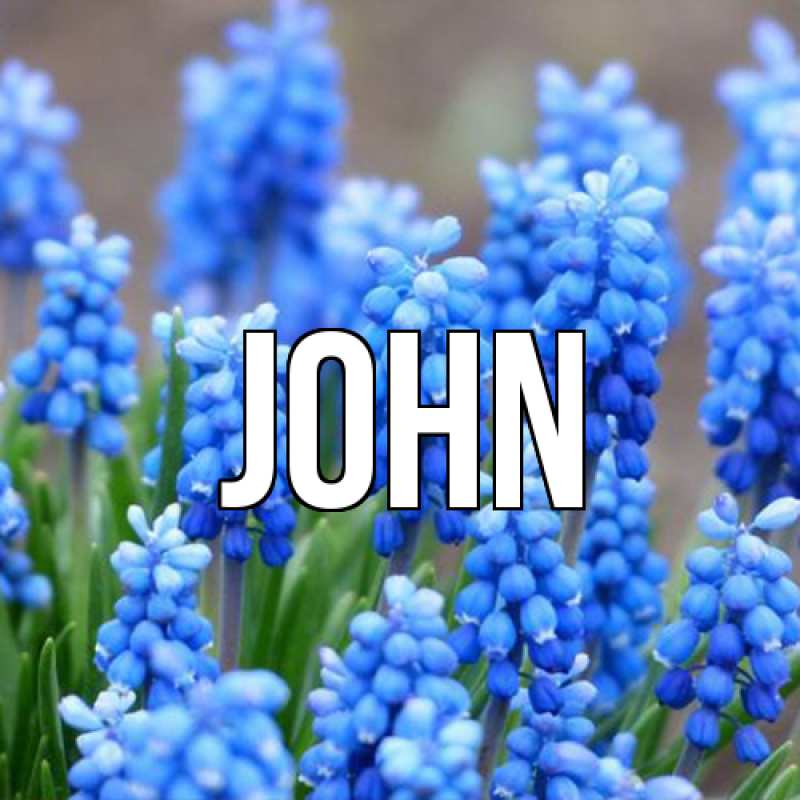 Картинка  с именем , John