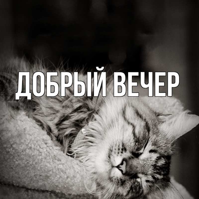 Картинка Добрый вечер, 