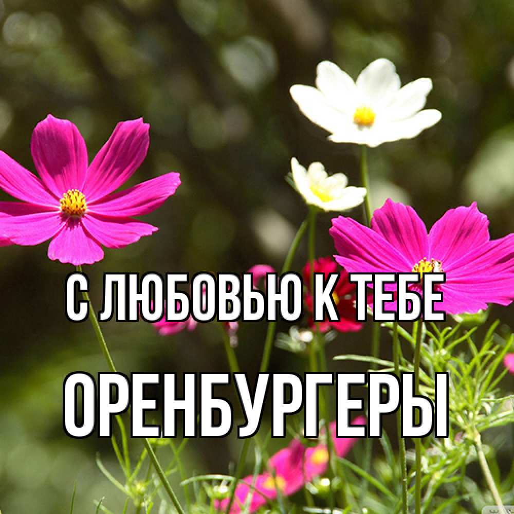 Открытка  с именем. Оренбургеры, С любовью к тебе  