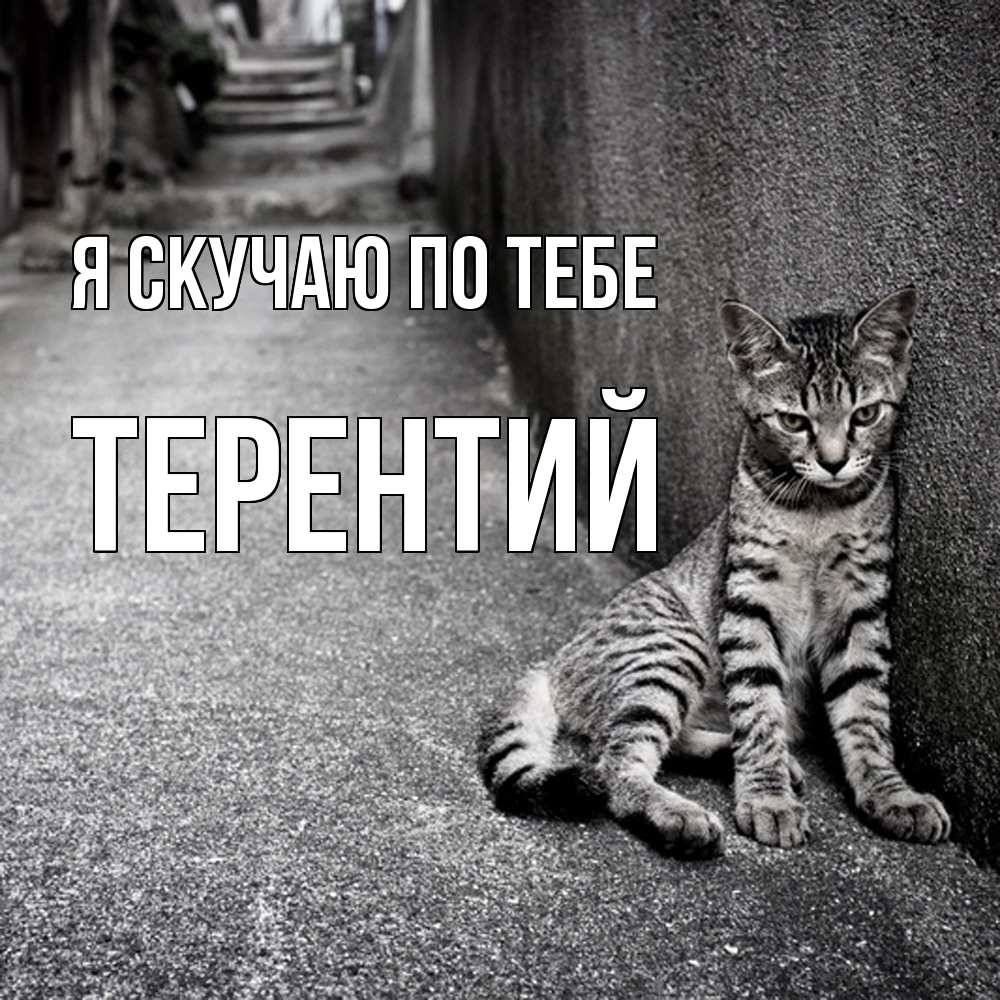 Открытка  с именем. Терентий, Я скучаю по тебе  