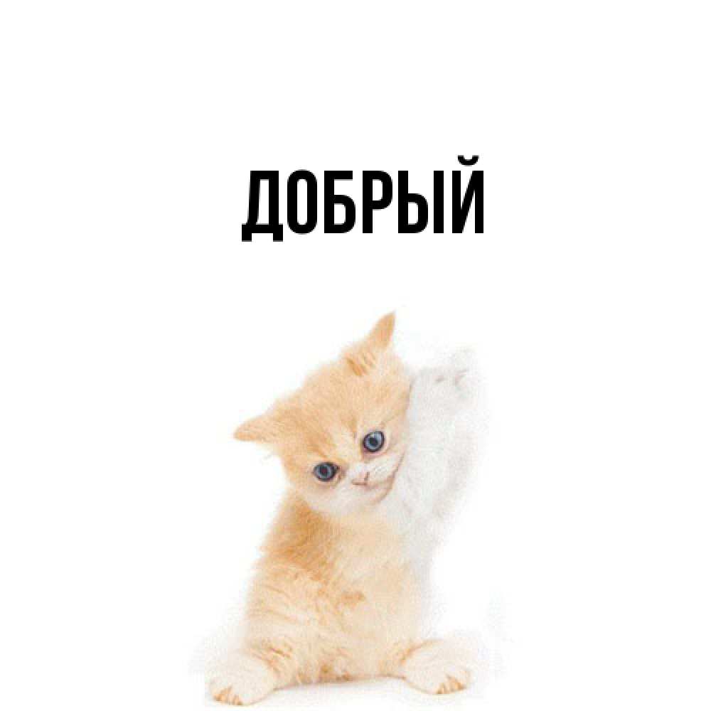 Открытка  с именем. Добрый, Главная  