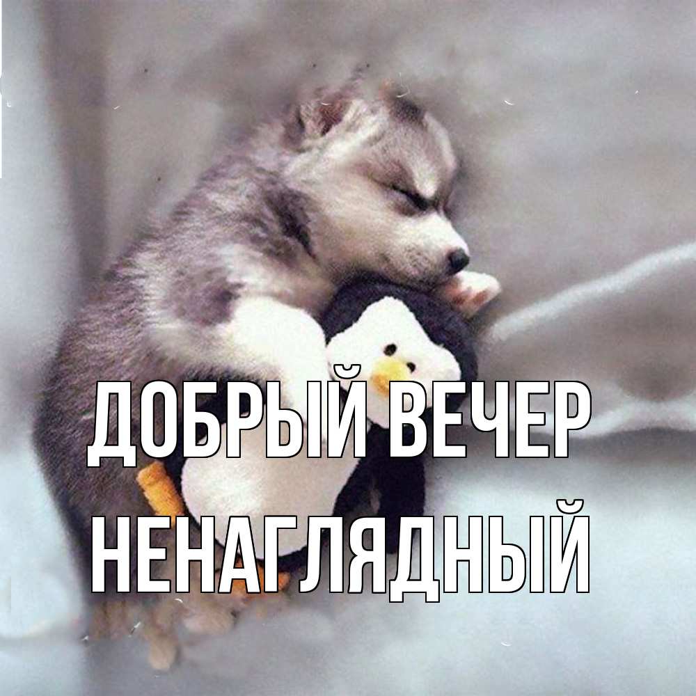 Открытка  с именем. Ненаглядный, Добрый вечер  